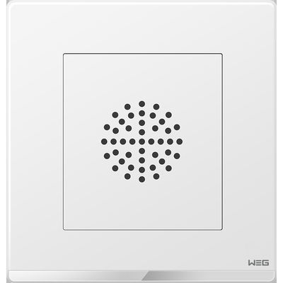 厚い反錆の鋼板W7SG 250V 10A壁に取り付けられたプラグのソケット