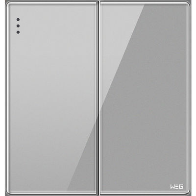 銀製合金の灰色W82Q/2Yの壁に取り付けられたプラグのソケット