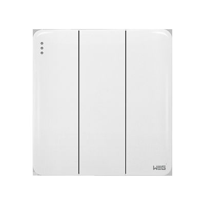 銀製合金W33Q/2Yの壁に取り付けられたプラグのソケット
